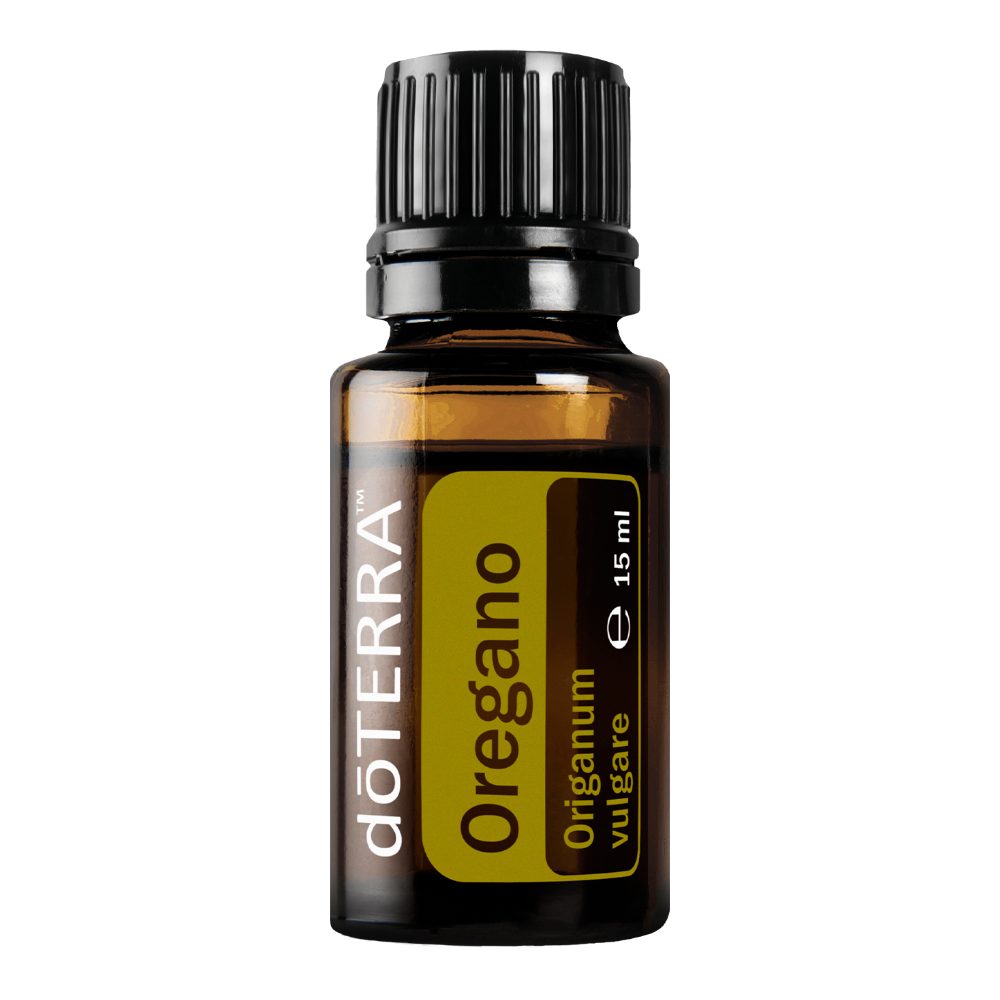 Origan - Origanum vulgare