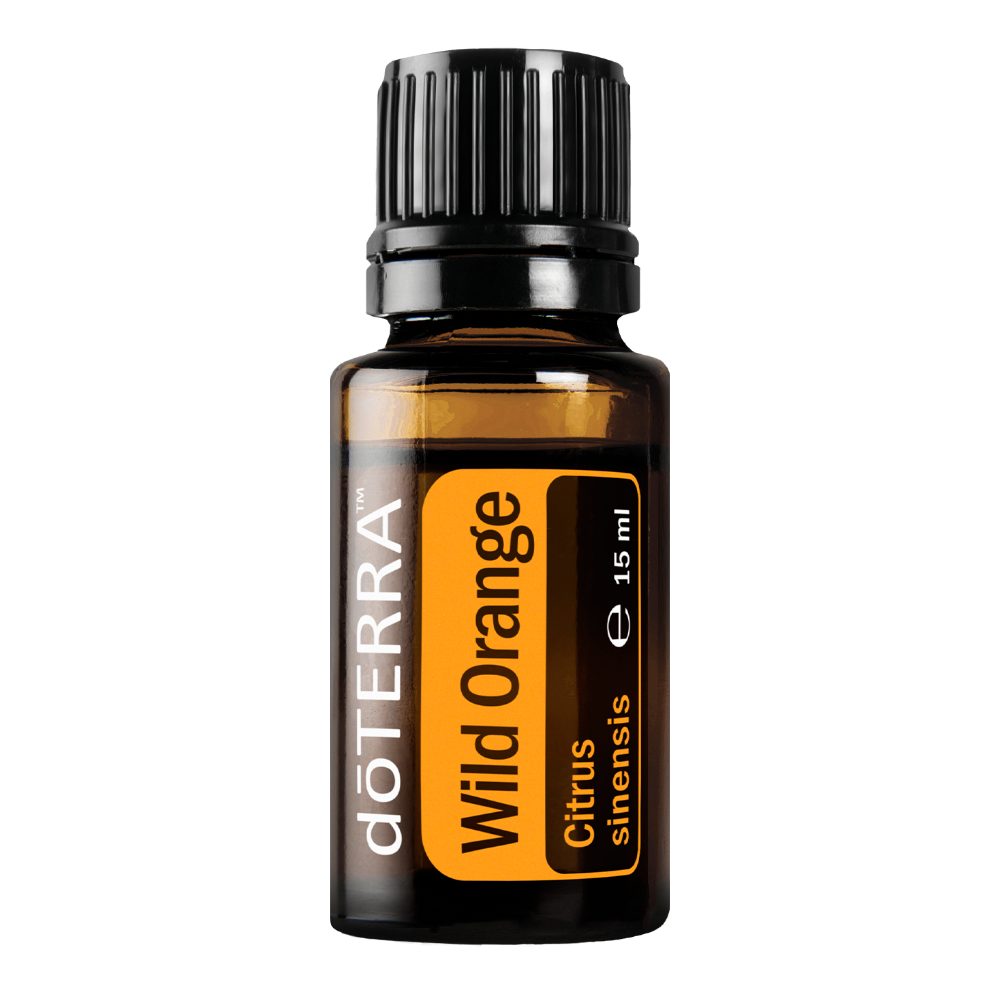 Orange douce - Citrus sinensis