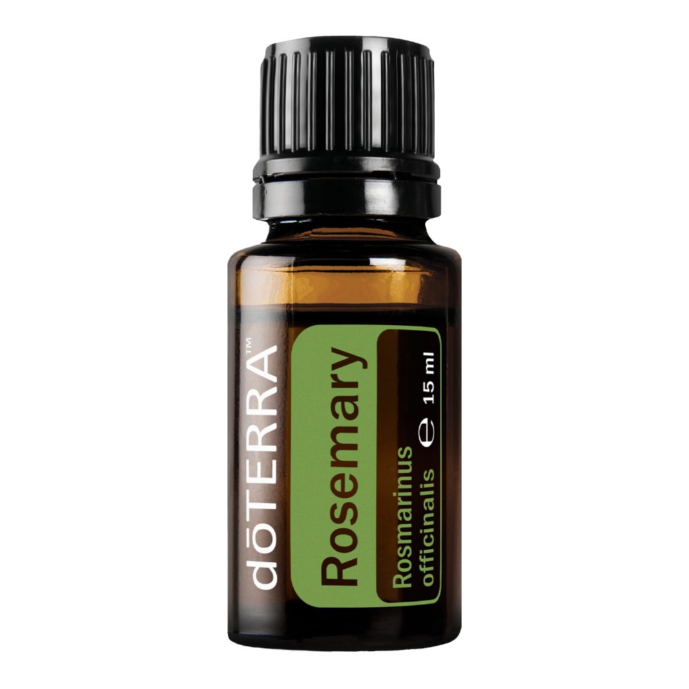 Romarin - Rosmarinus officinalis