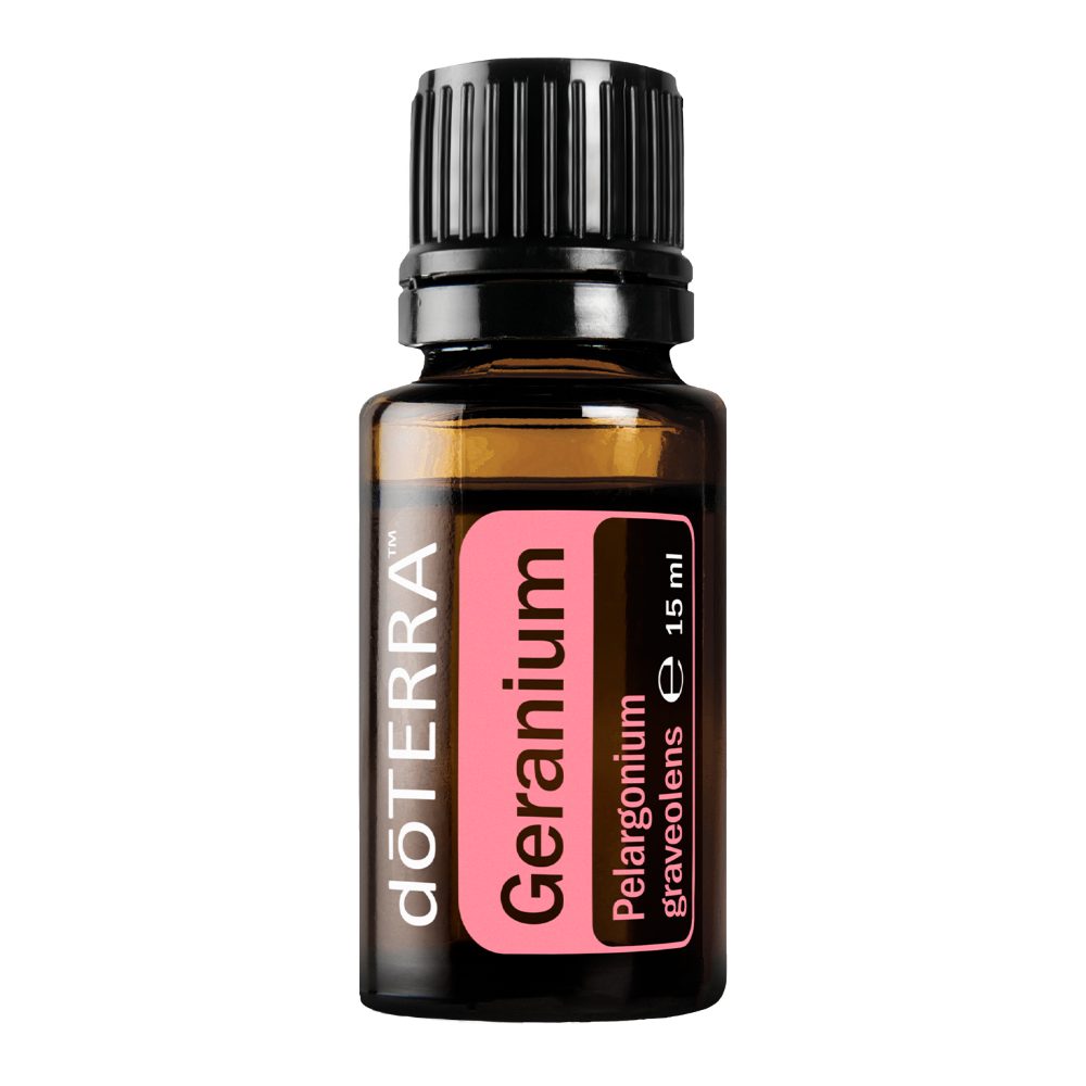 Géranium - Pelargonium graveolens