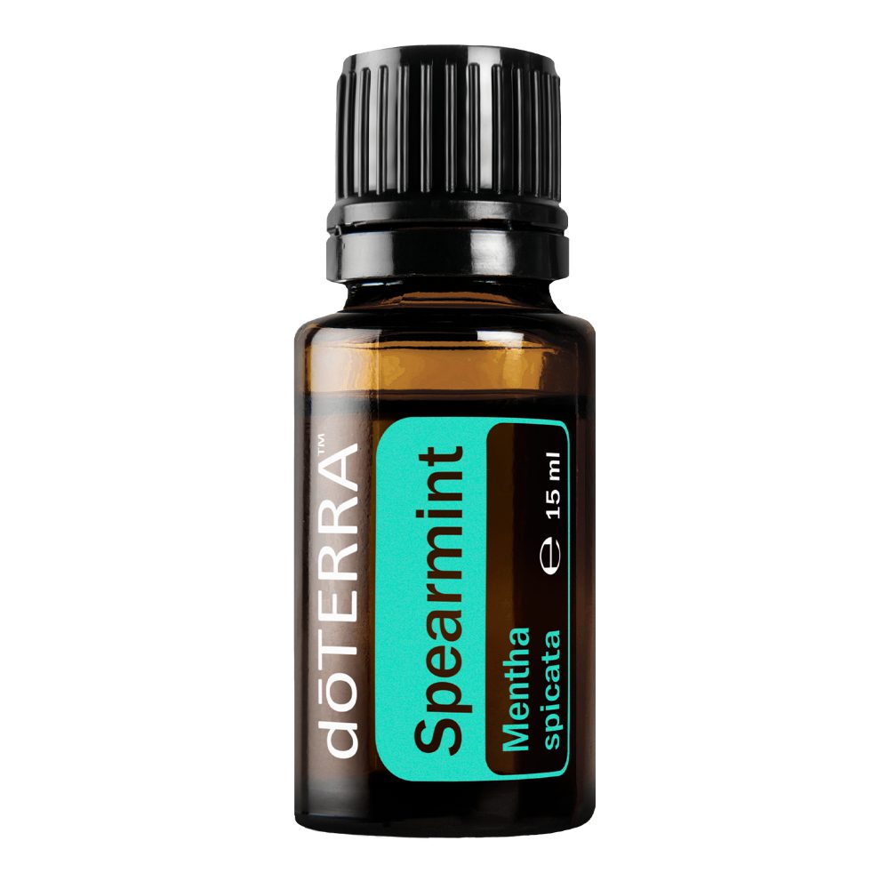 Menthe verte - Mentha spicata
