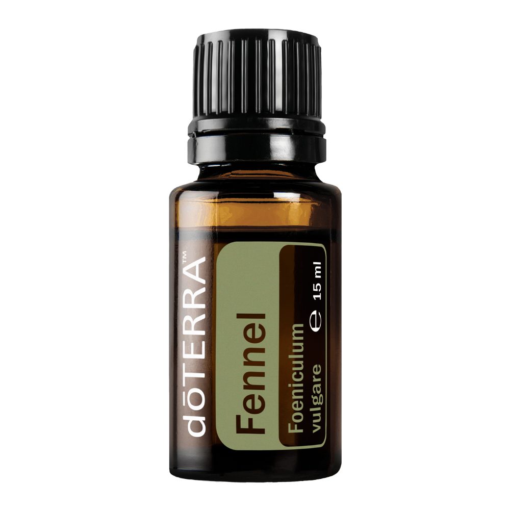 Fenouil - Foeniculum vulgare