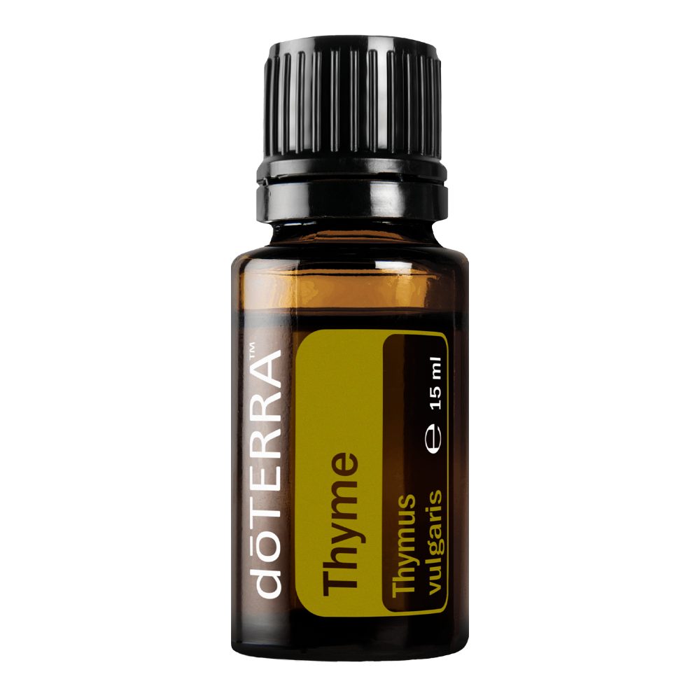 Thym - Thymus vulgaris