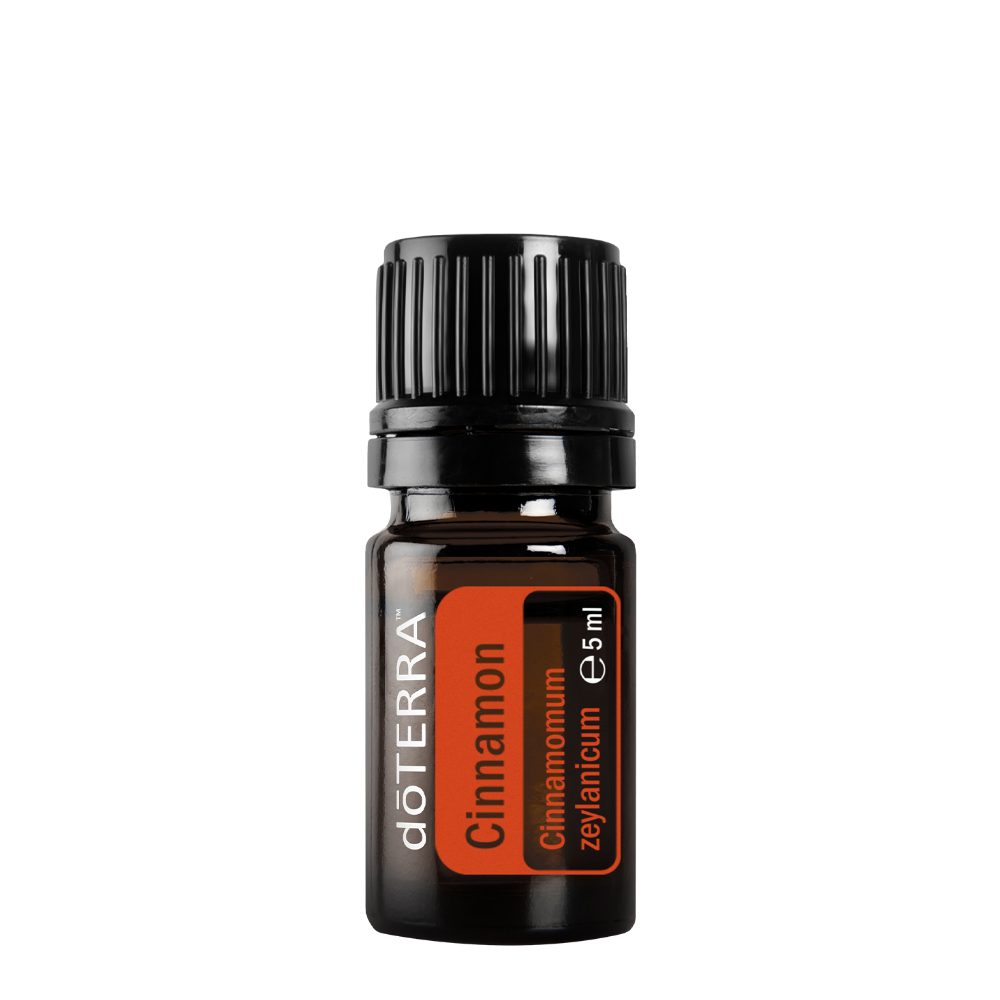 Cannelle de Ceylan - Cinnamomum zeylanicum