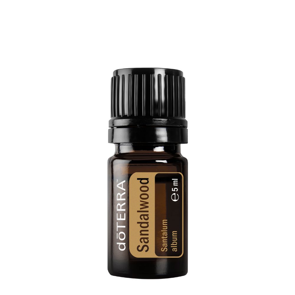Bois de santal - Santalum album