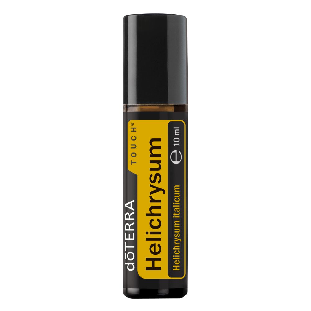 Hélichryse Touch - Helichrysum italicum