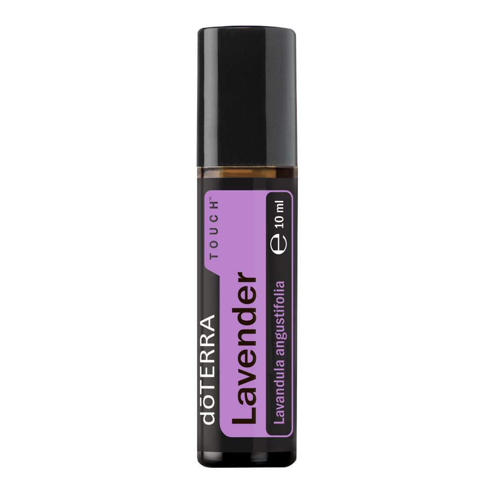 Lavande Touch - Lavandula angustifolia