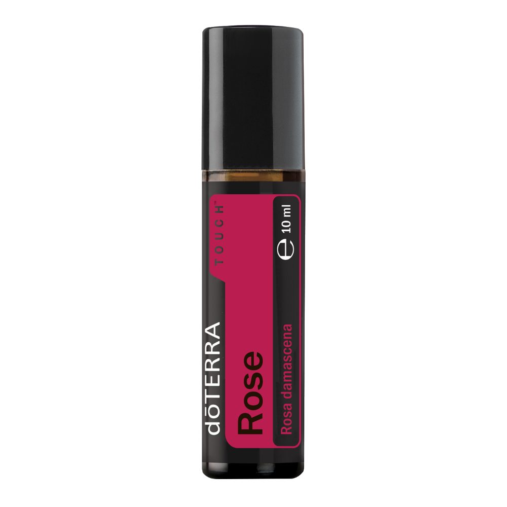 Rose Touch - Rosa damascena